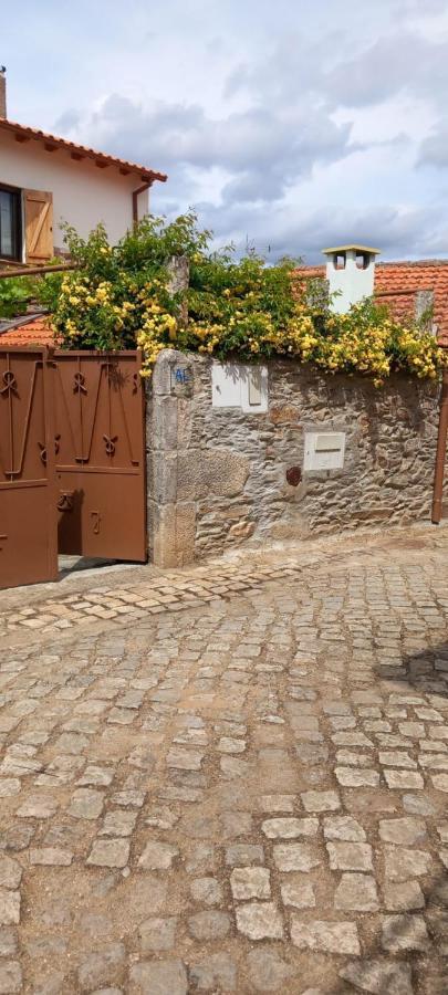 Ferienwohnung Casa Adalcina Mirandela Exterior foto