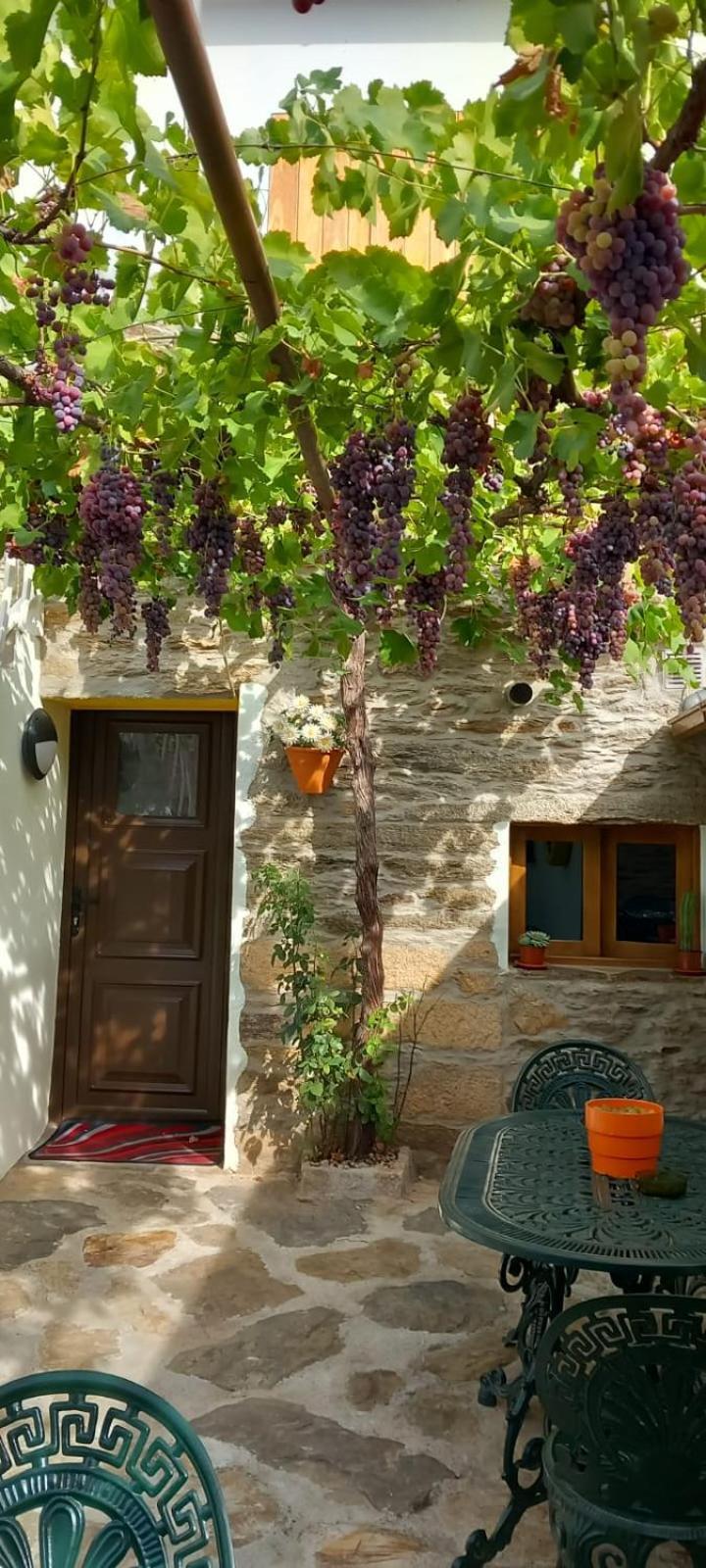 Ferienwohnung Casa Adalcina Mirandela Exterior foto